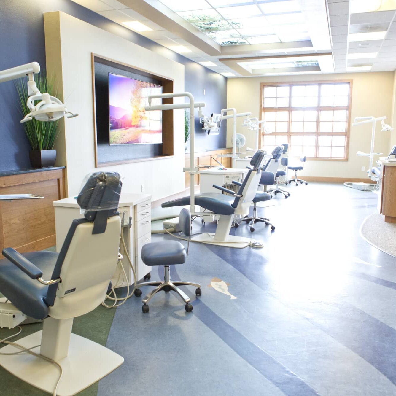 Billings Orthodontist